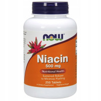 NOW FOODS WITAMINA B3 500mg 250k PP NIACYNA NIACIN